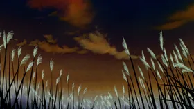 Hedgehog's Dilemma — capture 8
