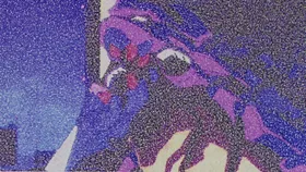 A Human Work — capture 8