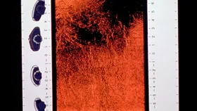 Magma Diver — capture 3